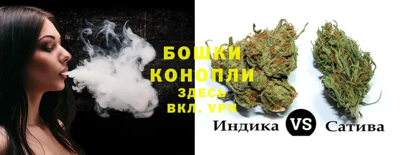 Конопля THC 21%  Кировск 